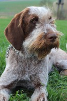 /album/fotogalerie/img-4620-jpg/