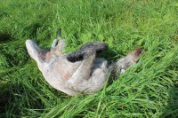 /album/fotogalerie/img-6402-jpg/