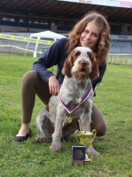 /album/spinone-beretta/img-6912-jpg/