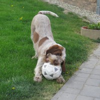 /album/fotogalerie/a1554602-943531979012733-9101759291498578999-n-jpg/